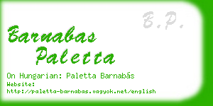 barnabas paletta business card